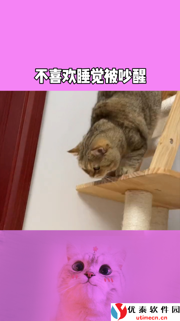 小猫睡眠：让每个夜晚都化身梦境，轻松摆脱失眠困扰，享受深度休息的绝佳伴侣！ - 优泰软件园-1