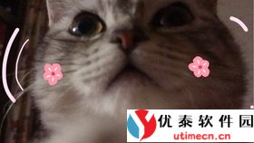 小猫睡眠：让每个夜晚都化身梦境，轻松摆脱失眠困扰，享受深度休息的绝佳伴侣！ - 优泰软件园-2